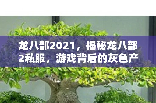 龙八部2021，揭秘龙八部2私服，游戏背后的灰色产业链与玩家风险