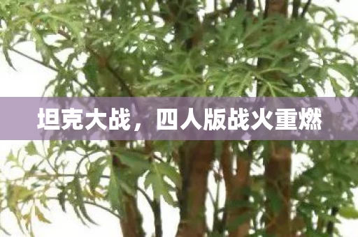四人版战火重燃图片