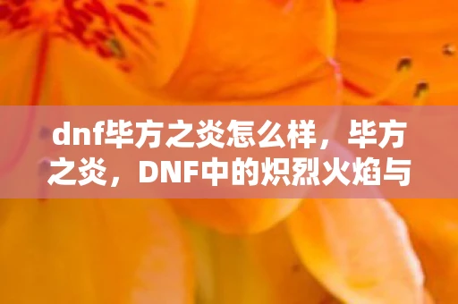 dnf毕方之炎怎么样,毕方之炎,DNF中的炽烈火焰与神秘传说 dnf毕方之炎怎么样,毕方之炎,DNF中的炽烈火焰与神秘传说