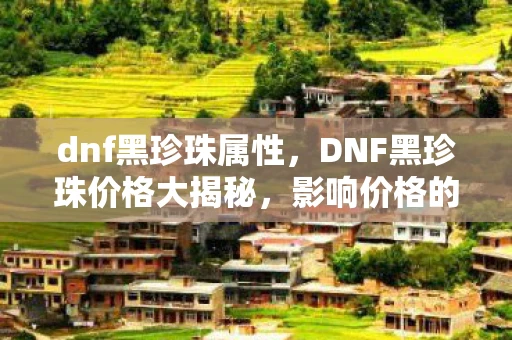 dnf黑珍珠属性，DNF黑珍珠价格大揭秘，影响价格的因素与购买建议