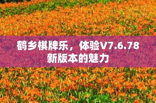 78新版本的魅力图片