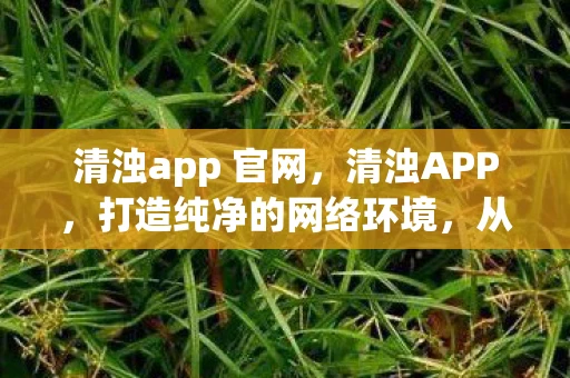 清浊app 官网，清浊APP，打造纯净的网络环境，从每一个细节开始