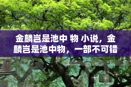 金麟岂是池中 物 小说，金麟岂是池中物，一部不可错过的经典之作