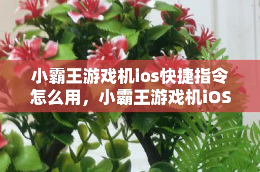 小霸王游戏机ios快捷指令怎么用，小霸王游戏机iOS快捷指令，重温经典，一键启动