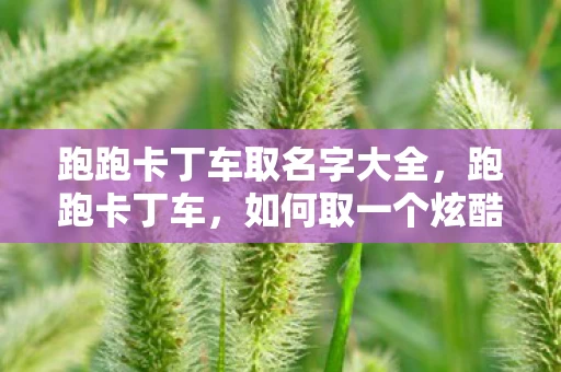 跑跑卡丁车取名字大全,跑跑卡丁车,如何取一个炫酷的名字 跑跑卡丁车取名字大全,跑跑卡丁车,如何取一个炫酷的名字