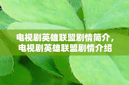 电视剧英雄联盟剧情简介，电视剧英雄联盟剧情介绍
