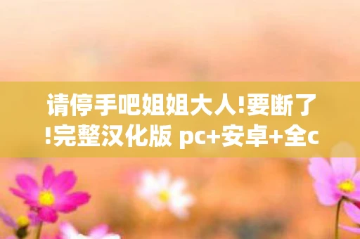 请停手吧姐姐大人!要断了!完整汉化版 pc+安卓+全cg,姐姐大人要断了游戏下载?是时候放下虚拟世界,拥抱现实了 请停手吧姐姐大人!要断了!完整汉化版 pc+安卓+全cg,姐姐大人要断了游戏下载?是时候放下虚拟世界,拥抱现实了