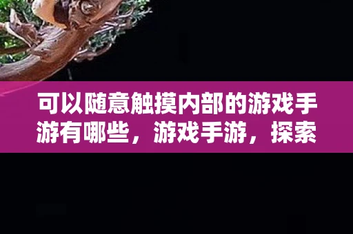 可以随意触摸内部的游戏手游有哪些，游戏手游，探索虚拟世界的自由触摸体验