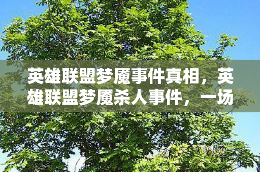 英雄联盟梦魇事件真相，英雄联盟梦魇杀人事件，一场虚拟世界的悲剧