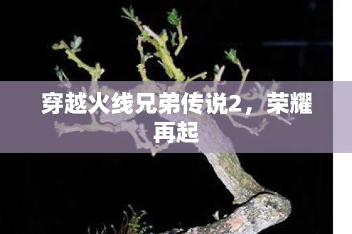 穿越火线兄弟传说2图片