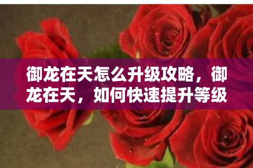 御龙在天怎么升级攻略，御龙在天，如何快速提升等级
