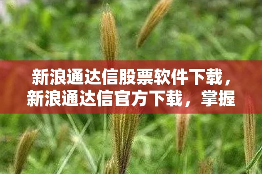 新浪通达信股票软件下载,新浪通达信官方下载,掌握股市行情的利器 新浪通达信股票软件下载,新浪通达信官方下载,掌握股市行情的利器