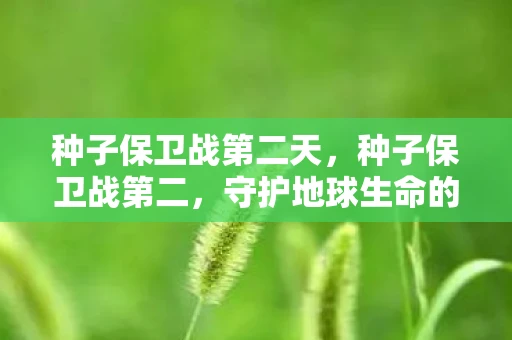 种子保卫战第二天，种子保卫战第二，守护地球生命的原始宝藏
