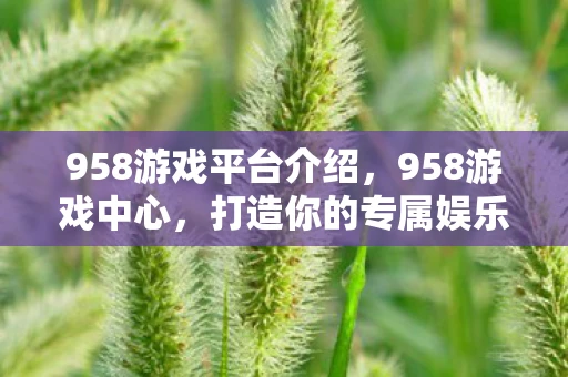 958游戏平台介绍,958游戏中心,打造你的专属娱乐天地 958游戏平台介绍,958游戏中心,打造你的专属娱乐天地