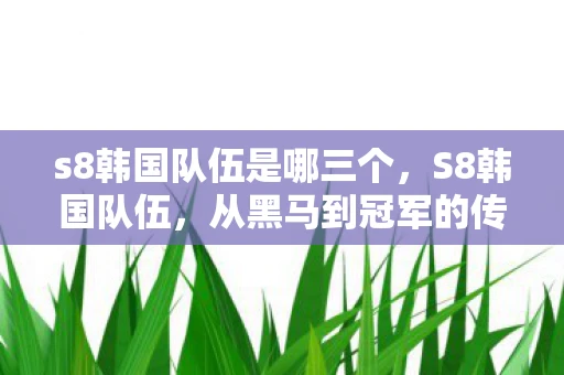 s8韩国队伍是哪三个，S8韩国队伍，从黑马到冠军的传奇之旅