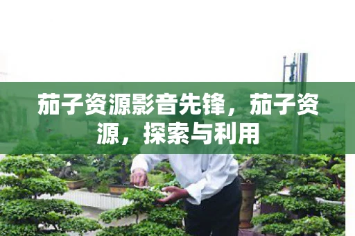 茄子资源影音先锋，茄子资源，探索与利用