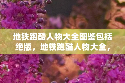 地铁跑酷人物大全图鉴包括绝版,地铁跑酷人物大全,解锁你的跑酷之旅 地铁跑酷人物大全图鉴包括绝版,地铁跑酷人物大全,解锁你的跑酷之旅