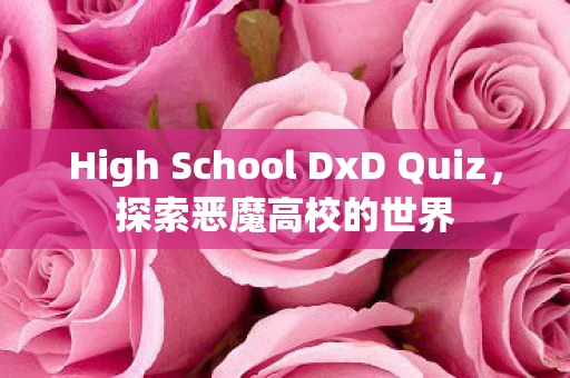 High School DxD Quiz图片