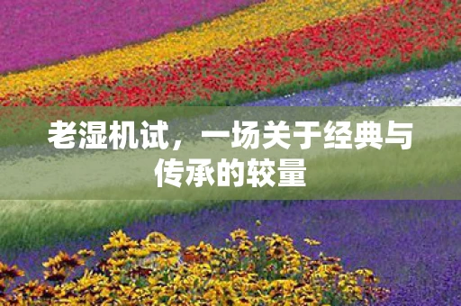 老湿机试，一场关于经典与传承的较量