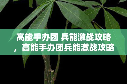 高能手办团 兵能激战攻略，高能手办团兵能激战攻略