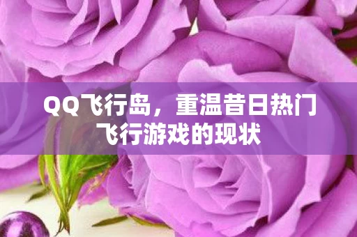 重温昔日热门飞行游戏的现状图片