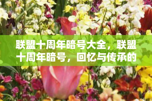 联盟十周年暗号大全，联盟十周年暗号，回忆与传承的密码