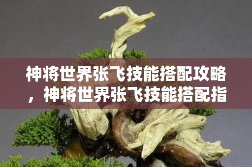 神将世界张飞技能搭配攻略，神将世界张飞技能搭配指南