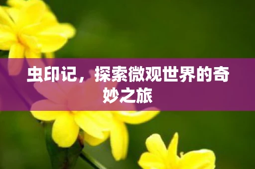 虫印记，探索微观世界的奇妙之旅