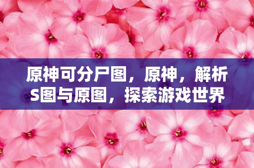 原神可分尸图,原神,解析S图与原图,探索游戏世界的奥秘 原神可分尸图,原神,解析S图与原图,探索游戏世界的奥秘