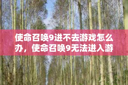 使命召唤9进不去游戏怎么办,使命召唤9无法进入游戏?解决攻略大放送! 使命召唤9进不去游戏怎么办,使命召唤9无法进入游戏?解决攻略大放送!