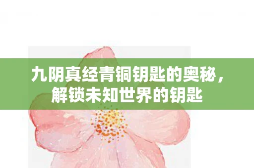 九阴真经青铜钥匙的奥秘,解锁未知世界的钥匙 九阴真经青铜钥匙的奥秘,解锁未知世界的钥匙
