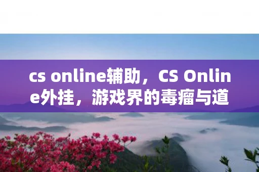 cs online辅助,CS Online外挂,游戏界的毒瘤与道德困境 cs online辅助,CS Online外挂,游戏界的毒瘤与道德困境