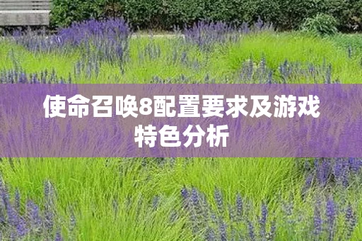 使命召唤8配置要求及游戏特色分析 使命召唤8配置要求及游戏特色分析