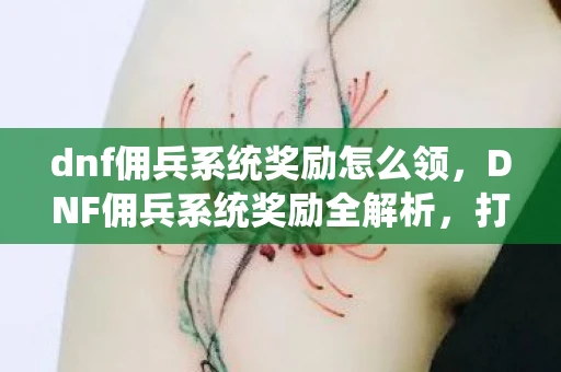 dnf佣兵系统奖励怎么领，DNF佣兵系统奖励全解析，打造你的专属军团，赢取丰厚奖励！