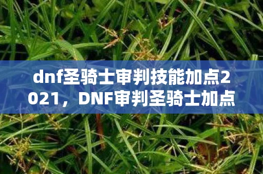 dnf圣骑士审判技能加点2021,DNF审判圣骑士加点攻略,打造最强辅助神 dnf圣骑士审判技能加点2021,DNF审判圣骑士加点攻略,打造最强辅助神