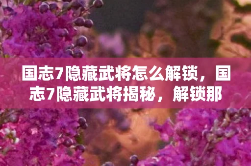 国志7隐藏武将怎么解锁,国志7隐藏武将揭秘,解锁那些不为人知的战场传奇 国志7隐藏武将怎么解锁,国志7隐藏武将揭秘,解锁那些不为人知的战场传奇