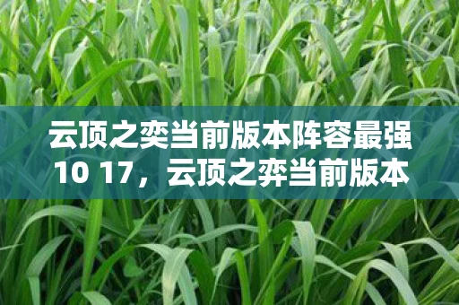 云顶之奕当前版本阵容最强10 17，云顶之弈当前版本阵容最强，揭秘S8.5赛季的顶级搭配