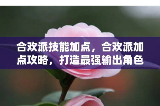 合欢派技能加点,合欢派加点攻略,打造最强输出角色 合欢派技能加点,合欢派加点攻略,打造最强输出角色