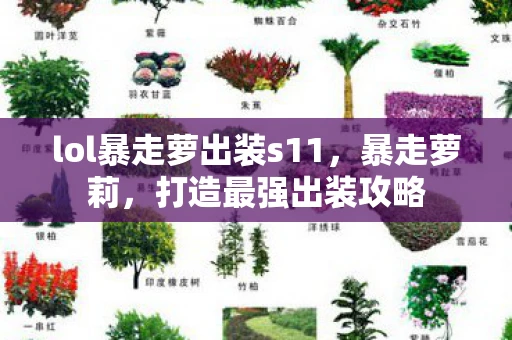 lol暴走萝出装s11,暴走萝莉,打造最强出装攻略 lol暴走萝出装s11,暴走萝莉,打造最强出装攻略