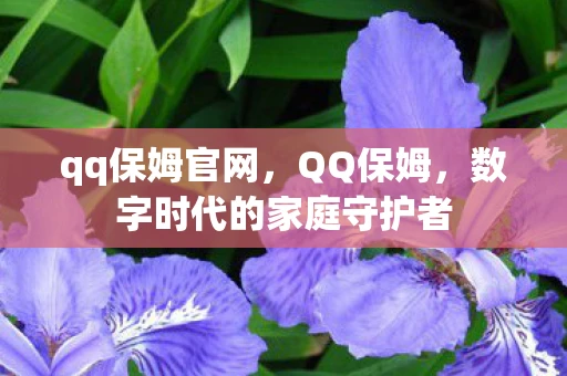 qq保姆官网,QQ保姆,数字时代的家庭守护者 qq保姆官网,QQ保姆,数字时代的家庭守护者