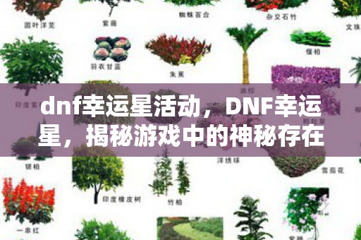 dnf幸运星活动,DNF幸运星,揭秘游戏中的神秘存在 dnf幸运星活动,DNF幸运星,揭秘游戏中的神秘存在