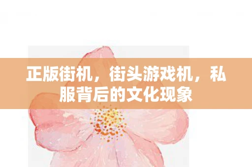 正版街机，街头游戏机，私服背后的文化现象