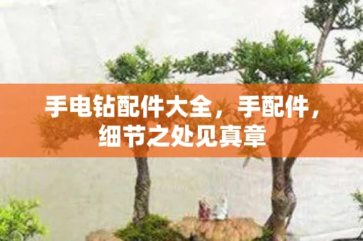 手电钻配件大全,手配件,细节之处见真章 手电钻配件大全,手配件,细节之处见真章