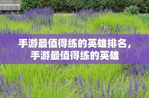 手游最值得练的英雄排名,手游最值得练的英雄 手游最值得练的英雄排名,手游最值得练的英雄