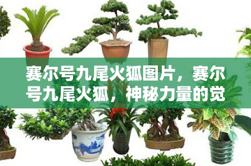 赛尔号九尾火狐图片，赛尔号九尾火狐，神秘力量的觉醒