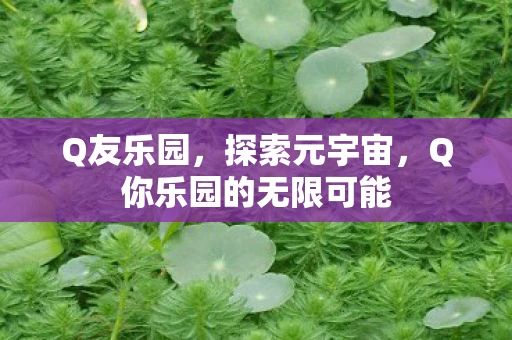 Q友乐园，探索元宇宙，Q你乐园的无限可能