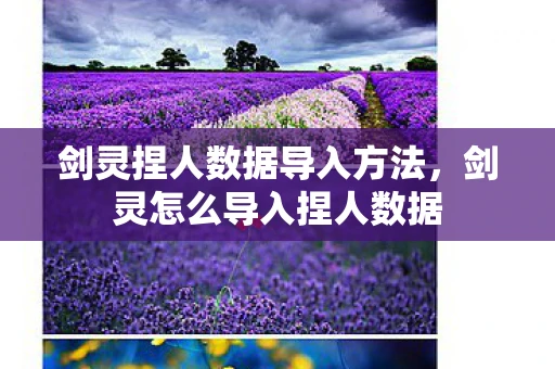 剑灵捏人数据导入方法,剑灵怎么导入捏人数据 剑灵捏人数据导入方法,剑灵怎么导入捏人数据