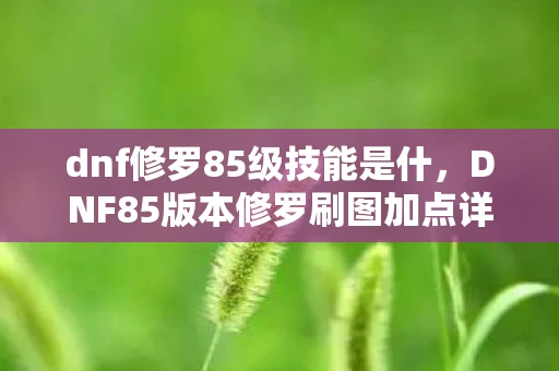 dnf修罗85级技能是什,DNF85版本修罗刷图加点详解 dnf修罗85级技能是什,DNF85版本修罗刷图加点详解