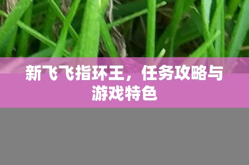任务攻略与游戏特色图片