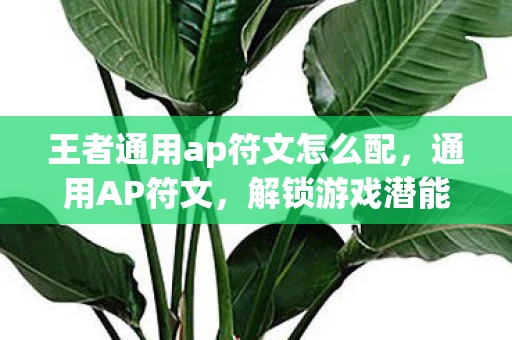 王者通用ap符文怎么配，通用AP符文，解锁游戏潜能的钥匙